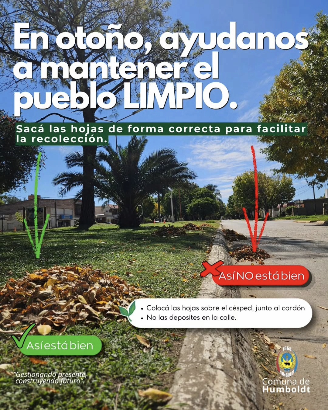 Imagen destacada